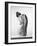 Back (4)-Arkadiusz Branicki-Framed Photographic Print