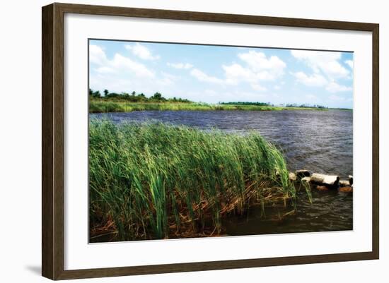 Back Bay III-Alan Hausenflock-Framed Photographic Print