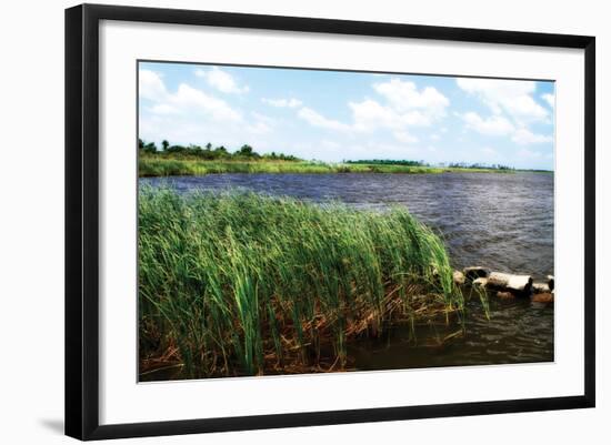 Back Bay III-Alan Hausenflock-Framed Photographic Print