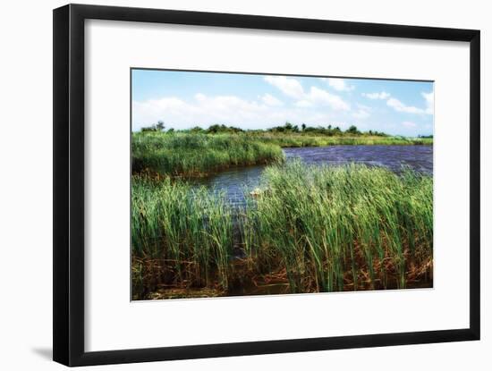 Back Bay IV-Alan Hausenflock-Framed Photographic Print