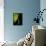 Back Drop 1-Doug Chinnery-Framed Premier Image Canvas displayed on a wall