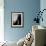 Back Drop 2-Doug Chinnery-Framed Photographic Print displayed on a wall