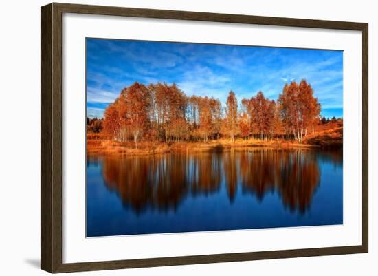 Back from the Edge-Philippe Sainte-Laudy-Framed Photographic Print