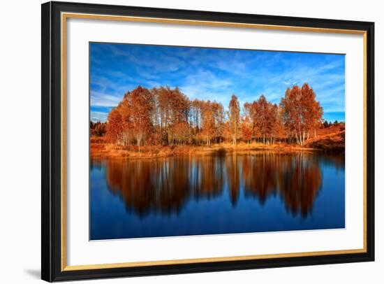 Back from the Edge-Philippe Sainte-Laudy-Framed Photographic Print