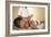 Back Massage-Adam Gault-Framed Photographic Print