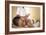 Back Massage-Adam Gault-Framed Photographic Print