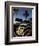 Back of a Beetle Car Painted in Zebra Stripes, Cape Town, South Africa, Africa-Yadid Levy-Framed Photographic Print