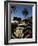 Back of a Beetle Car Painted in Zebra Stripes, Cape Town, South Africa, Africa-Yadid Levy-Framed Photographic Print