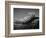 Back of an Iguana-Henry Horenstein-Framed Photographic Print