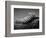 Back of an Iguana-Henry Horenstein-Framed Photographic Print