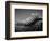 Back of an Iguana-Henry Horenstein-Framed Photographic Print