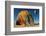 Back on Earth-Mathilde Guillemot-Framed Photographic Print