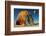 Back on Earth-Mathilde Guillemot-Framed Photographic Print