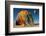 Back on Earth-Mathilde Guillemot-Framed Photographic Print