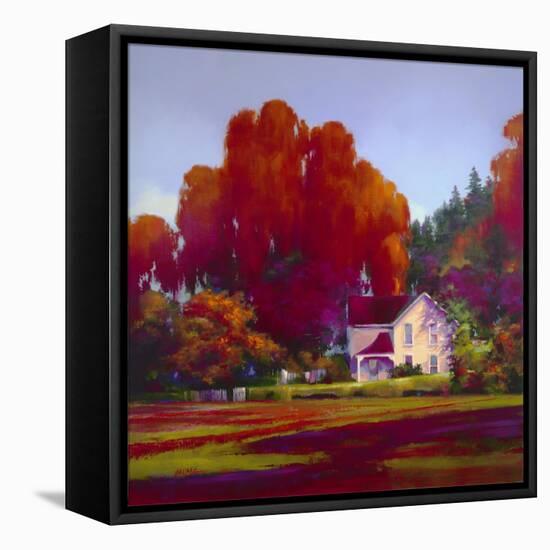 Back Porch-Donna Young-Framed Premier Image Canvas