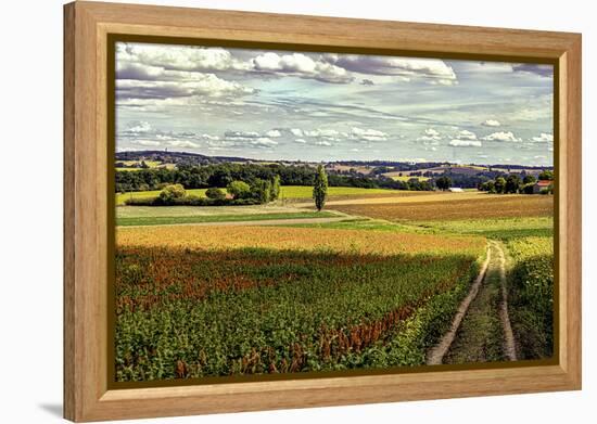 Back Road From Francescas-Colby Chester-Framed Premier Image Canvas