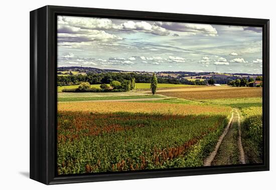 Back Road From Francescas-Colby Chester-Framed Premier Image Canvas