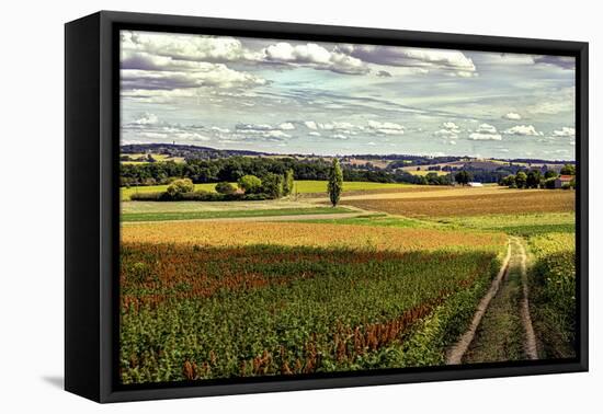 Back Road From Francescas-Colby Chester-Framed Premier Image Canvas