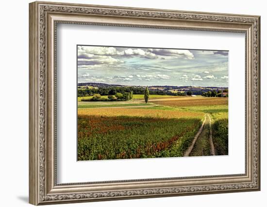 Back Road From Francescas-Colby Chester-Framed Photographic Print