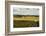 Back Road From Francescas-Colby Chester-Framed Photographic Print