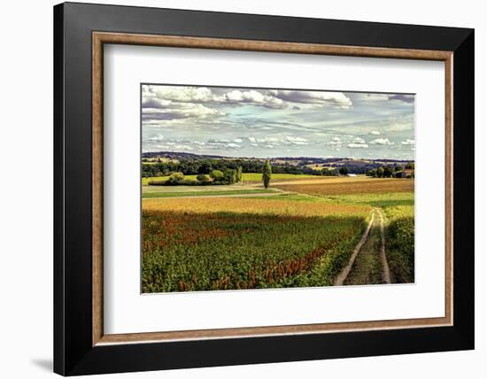 Back Road From Francescas-Colby Chester-Framed Photographic Print