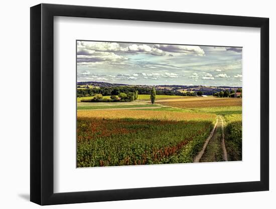 Back Road From Francescas-Colby Chester-Framed Photographic Print