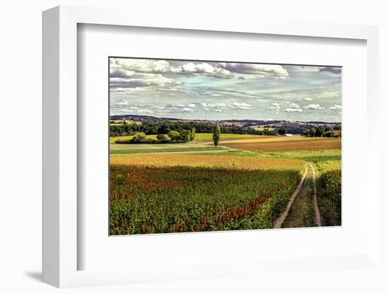 Back Road From Francescas-Colby Chester-Framed Photographic Print