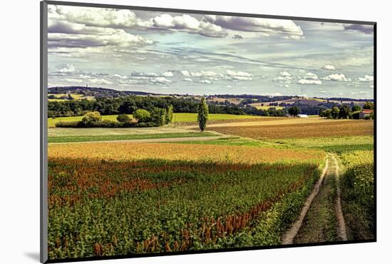 Back Road From Francescas-Colby Chester-Mounted Photographic Print