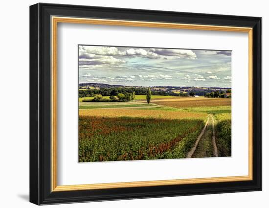 Back Road From Francescas-Colby Chester-Framed Photographic Print