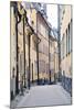 Back Streets And Alleys-Irene Suchocki-Mounted Giclee Print