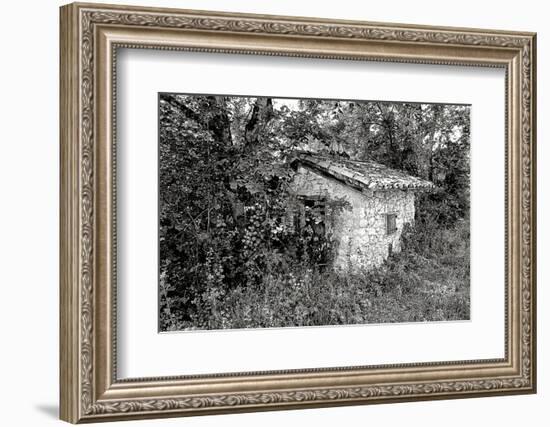 Back to Nature-Colby Chester-Framed Photographic Print