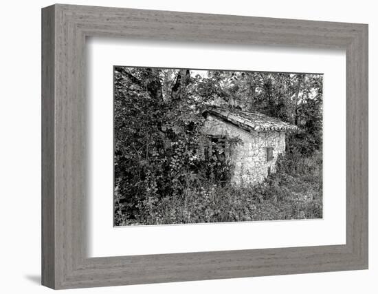 Back to Nature-Colby Chester-Framed Photographic Print