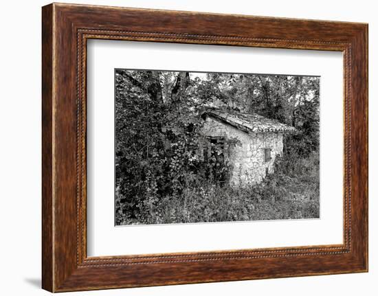 Back to Nature-Colby Chester-Framed Photographic Print