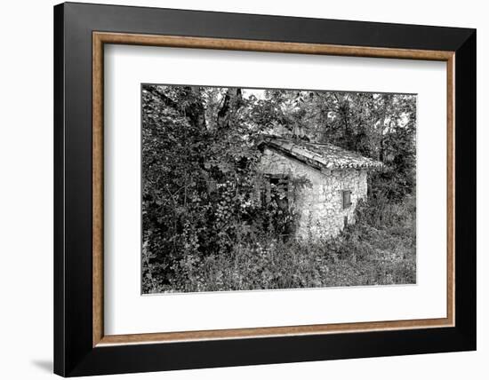 Back to Nature-Colby Chester-Framed Photographic Print