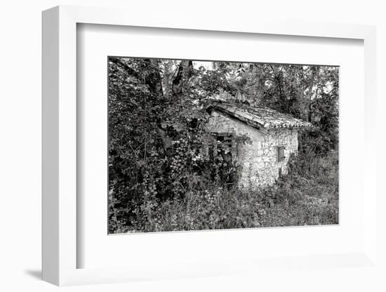 Back to Nature-Colby Chester-Framed Photographic Print