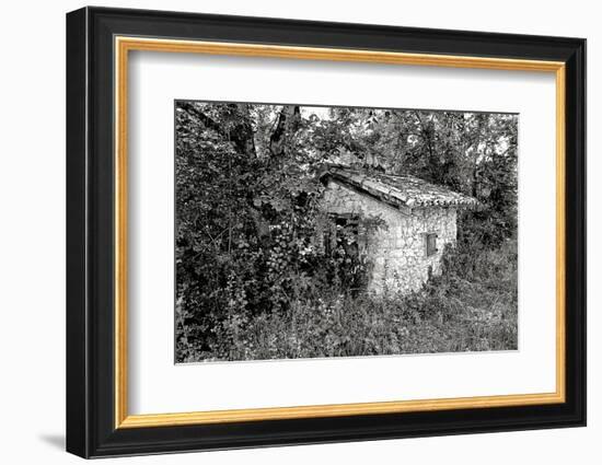 Back to Nature-Colby Chester-Framed Photographic Print