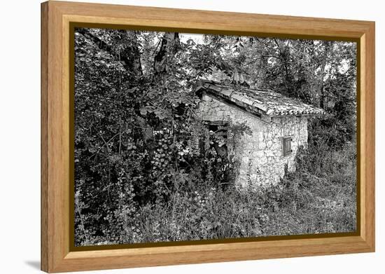 Back to Nature-Colby Chester-Framed Premier Image Canvas