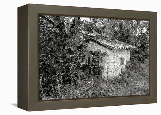 Back to Nature-Colby Chester-Framed Premier Image Canvas