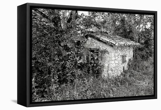 Back to Nature-Colby Chester-Framed Premier Image Canvas
