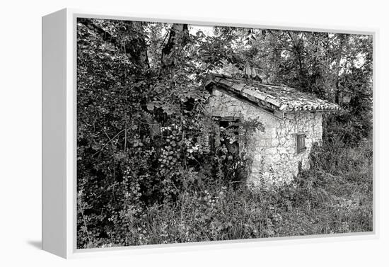 Back to Nature-Colby Chester-Framed Premier Image Canvas