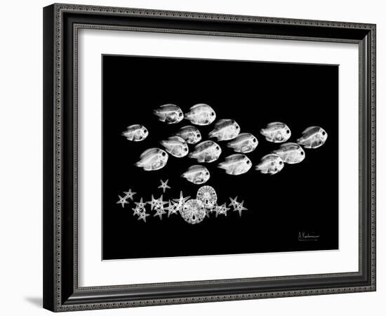 Back to School Xray-Albert Koetsier-Framed Art Print