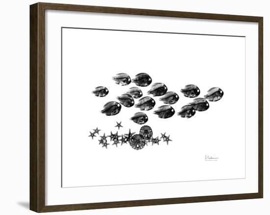 Back to School-Albert Koetsier-Framed Premium Giclee Print