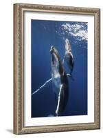 Back To The Surface-Barathieu Gabriel-Framed Giclee Print