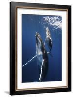 Back To The Surface-Barathieu Gabriel-Framed Giclee Print