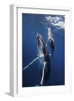 Back To The Surface-Barathieu Gabriel-Framed Giclee Print