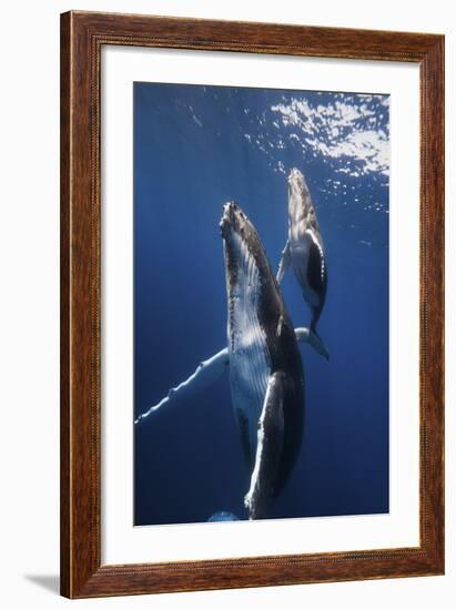 Back To The Surface-Barathieu Gabriel-Framed Giclee Print