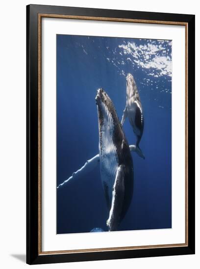 Back To The Surface-Barathieu Gabriel-Framed Giclee Print
