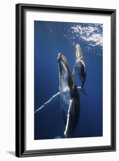 Back To The Surface-Barathieu Gabriel-Framed Giclee Print