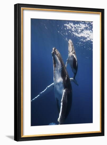 Back To The Surface-Barathieu Gabriel-Framed Giclee Print