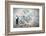 Back View of Businessman Drawing Sketch on Wall-Sergey Nivens-Framed Photographic Print